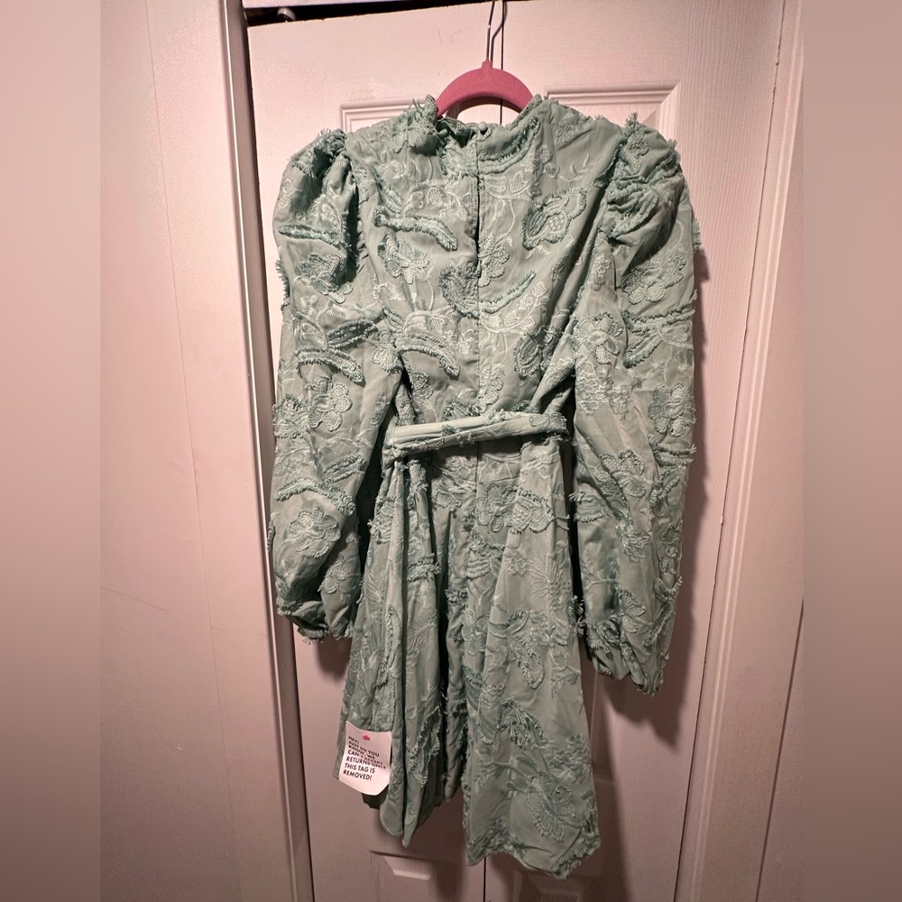 Belted skater, mini dress in sage green